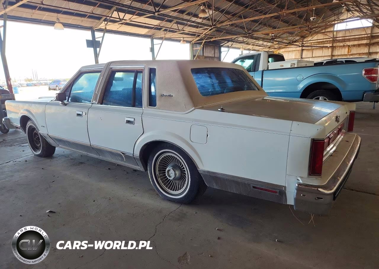 1984 Lincoln Town Car VIN:1LNBP96F5EY751619 - 2