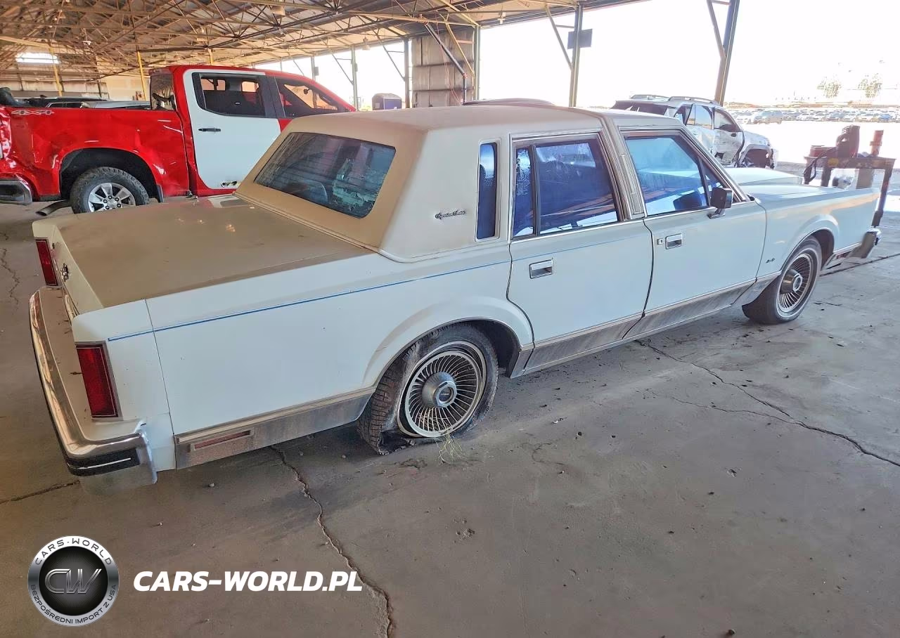 1984 Lincoln Town Car VIN:1LNBP96F5EY751619 - 3