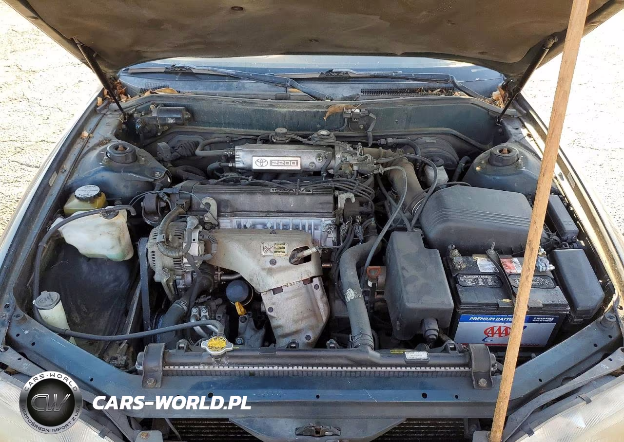 1994 Toyota Camry Le VIN:4T1SK12C8RU394297 - 11