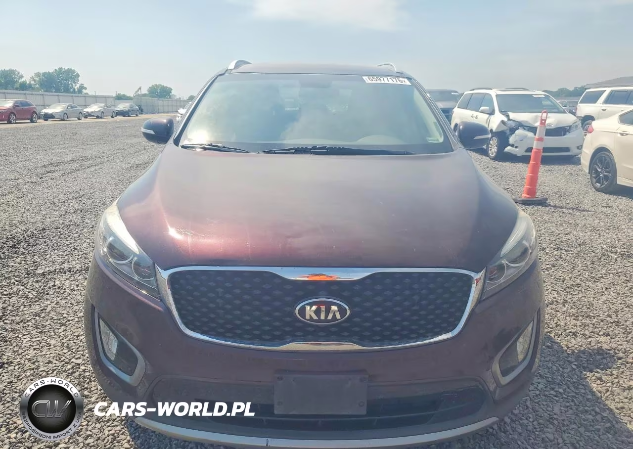 2016 Kia Sorento Ex VIN:5XYPH4A57GG006763 - 5