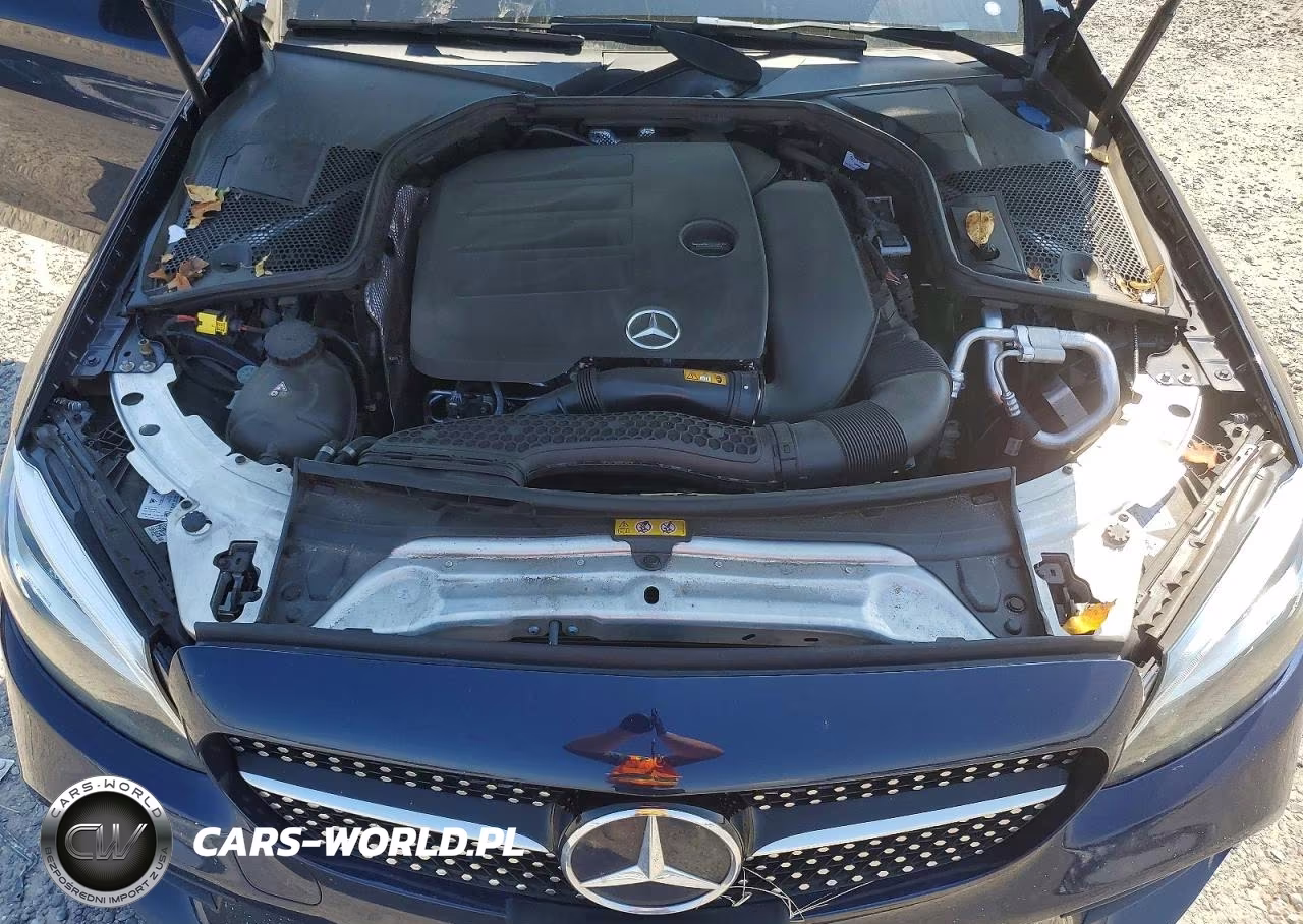 2019 Mercedes-Benz C 300 4Matic VIN:55SWF8EB6KU321240 - 11