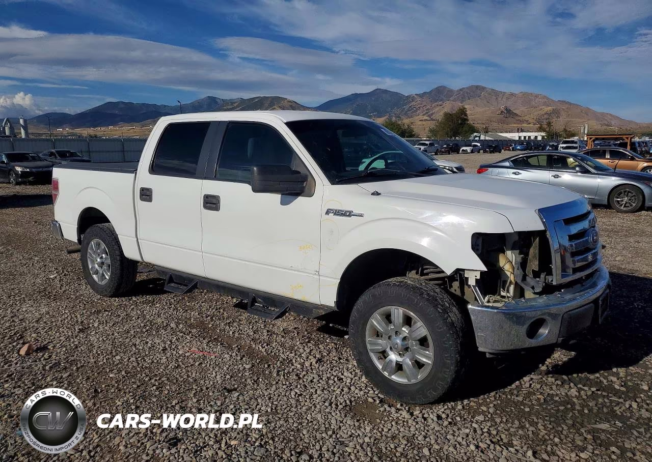 2011 Ford F150 Supercrew VIN:1FTFW1EF4BKD21834 - 4
