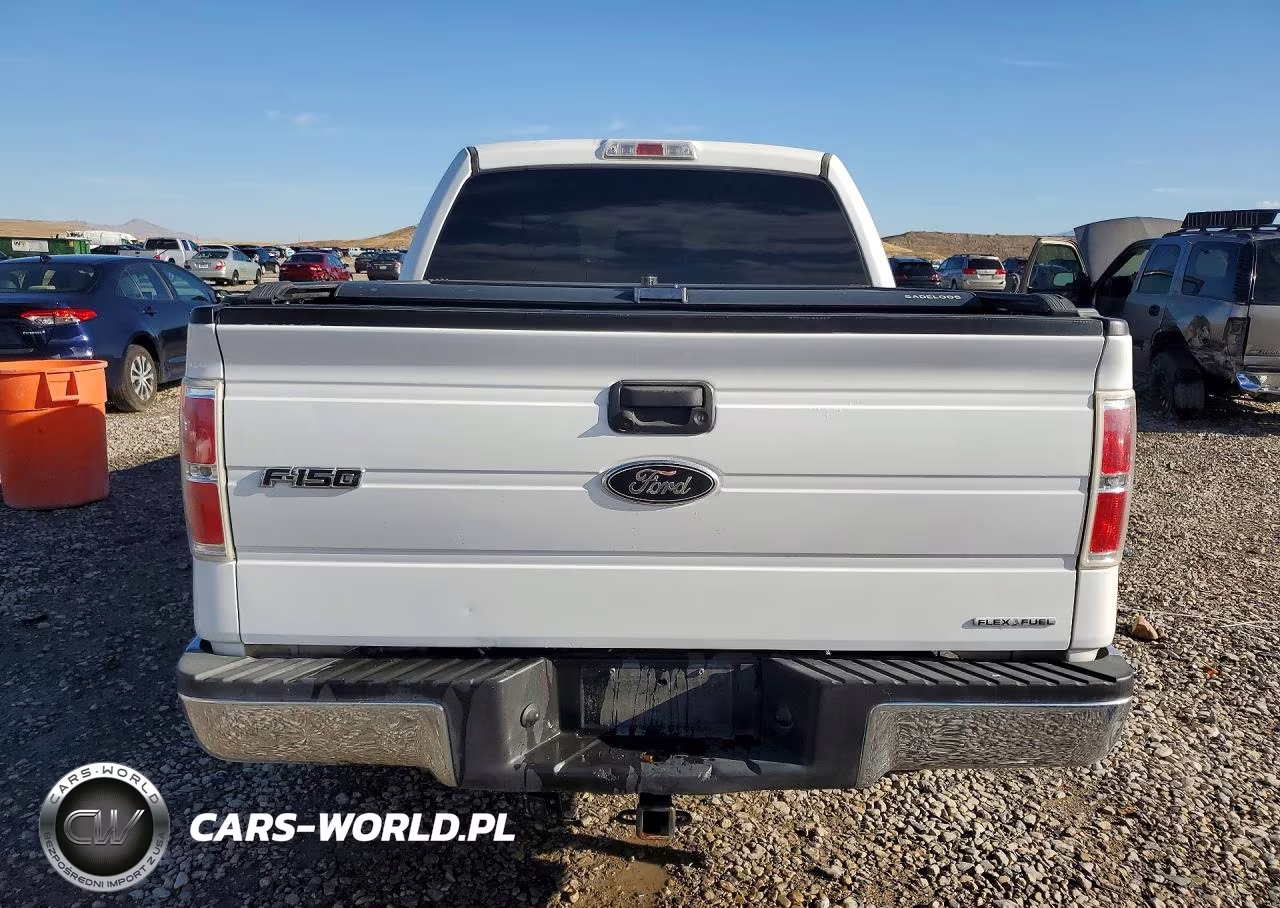 2011 Ford F150 Supercrew VIN:1FTFW1EF4BKD21834 - 6