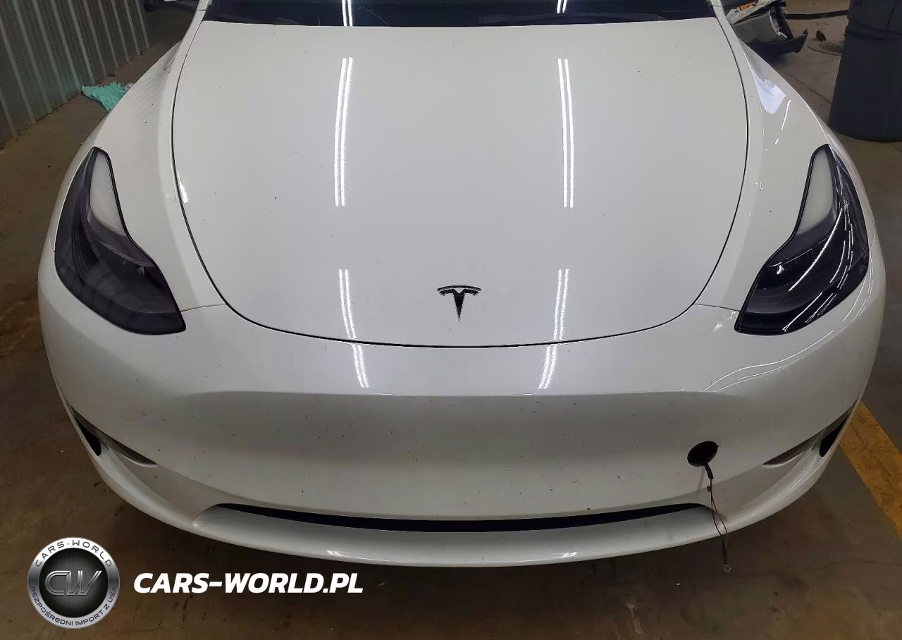 2023 Tesla Model Y VIN:7SAYGDEE7PF763657 - 11