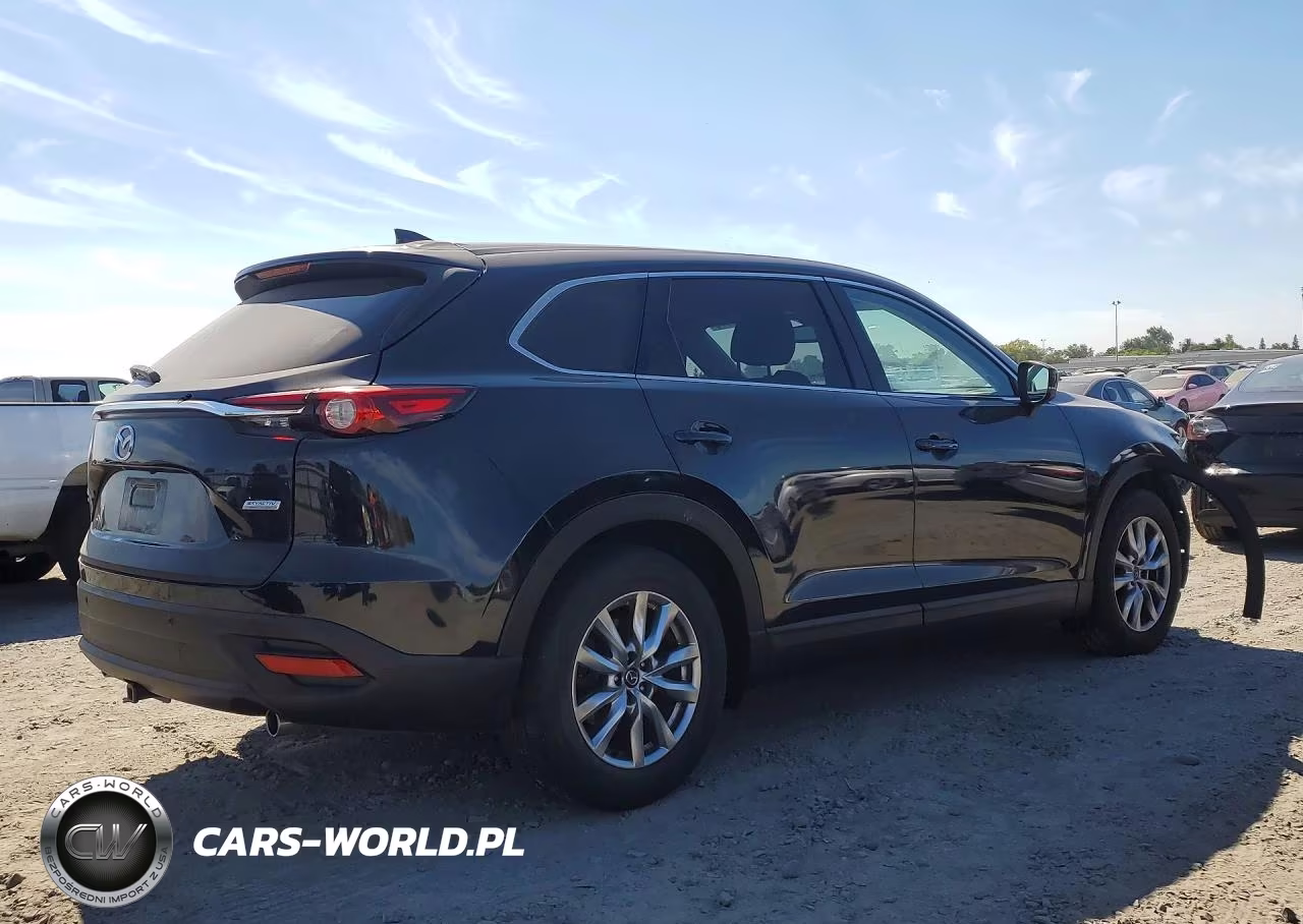 2016 Mazda Cx-9 Touring VIN:JM3TCBCY5G0120038 - 3