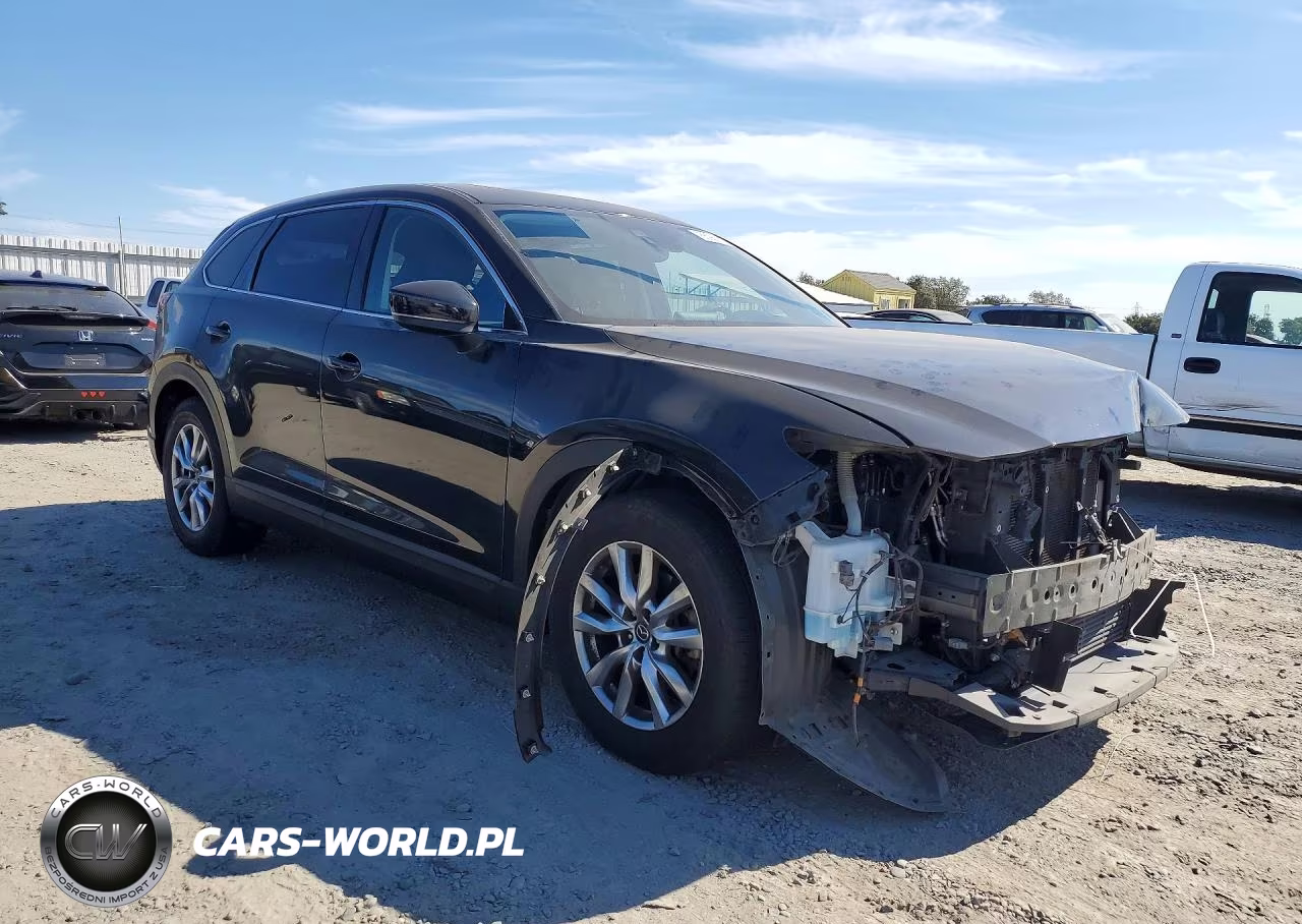 2016 Mazda Cx-9 Touring VIN:JM3TCBCY5G0120038 - 4