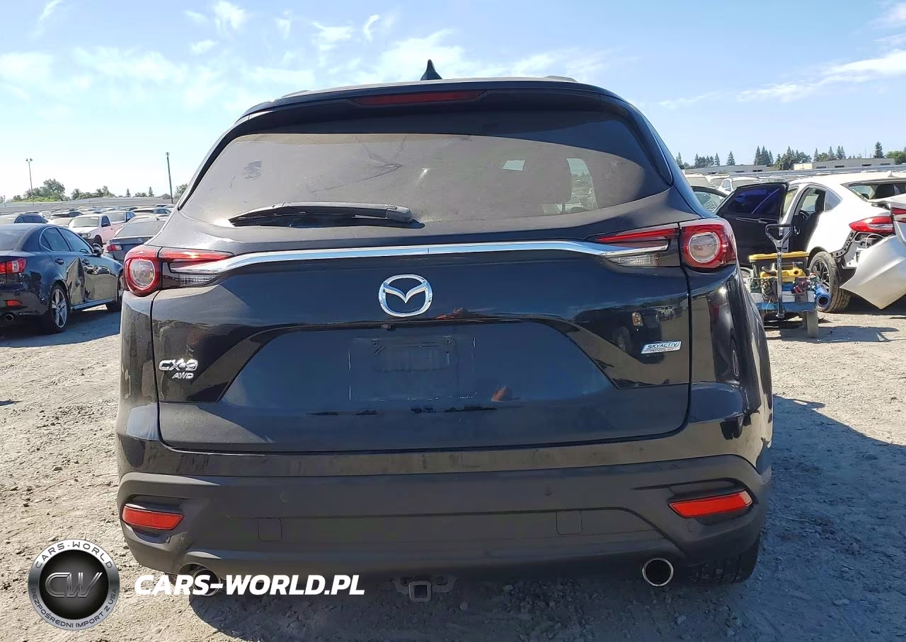 2016 Mazda Cx-9 Touring VIN:JM3TCBCY5G0120038 - 6