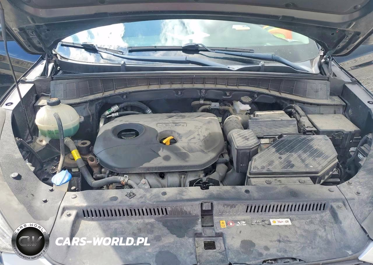 2019 Hyundai Tucson Value VIN:KM8J33A41KU052677 - 12