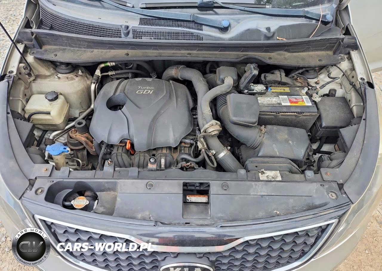 2011 Kia Sportage Sx VIN:KNDPC3A66B7141501 - 12