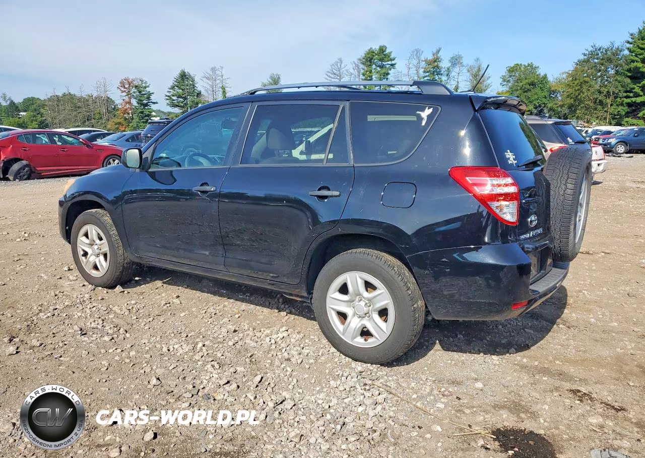 2010 Toyota Rav4 Base VIN:2T3BF4DV1AW031677 - 2