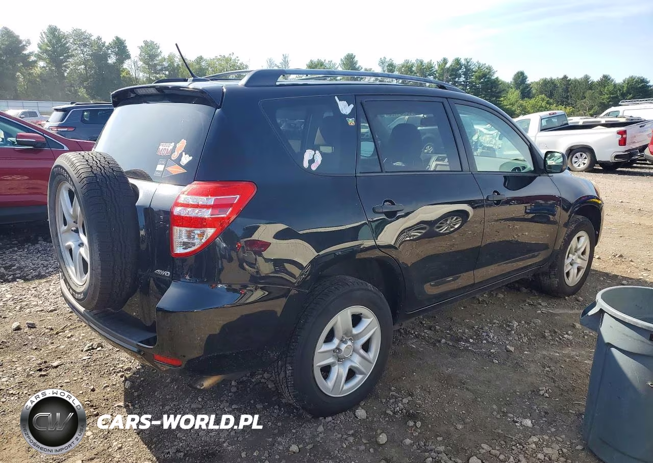 2010 Toyota Rav4 Base VIN:2T3BF4DV1AW031677 - 3