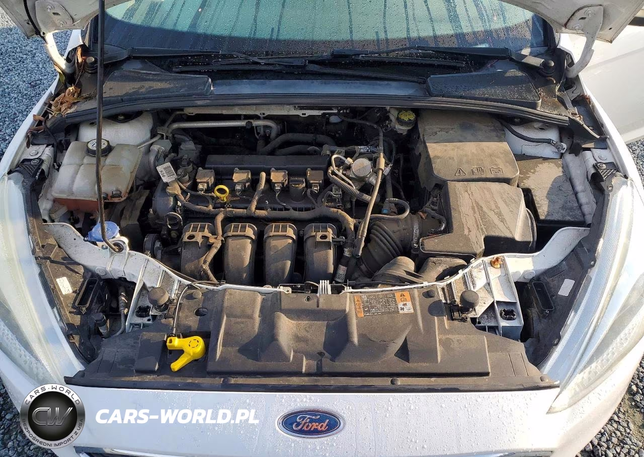 2016 Ford Focus Se VIN:1FADP3F21GL393268 - 11