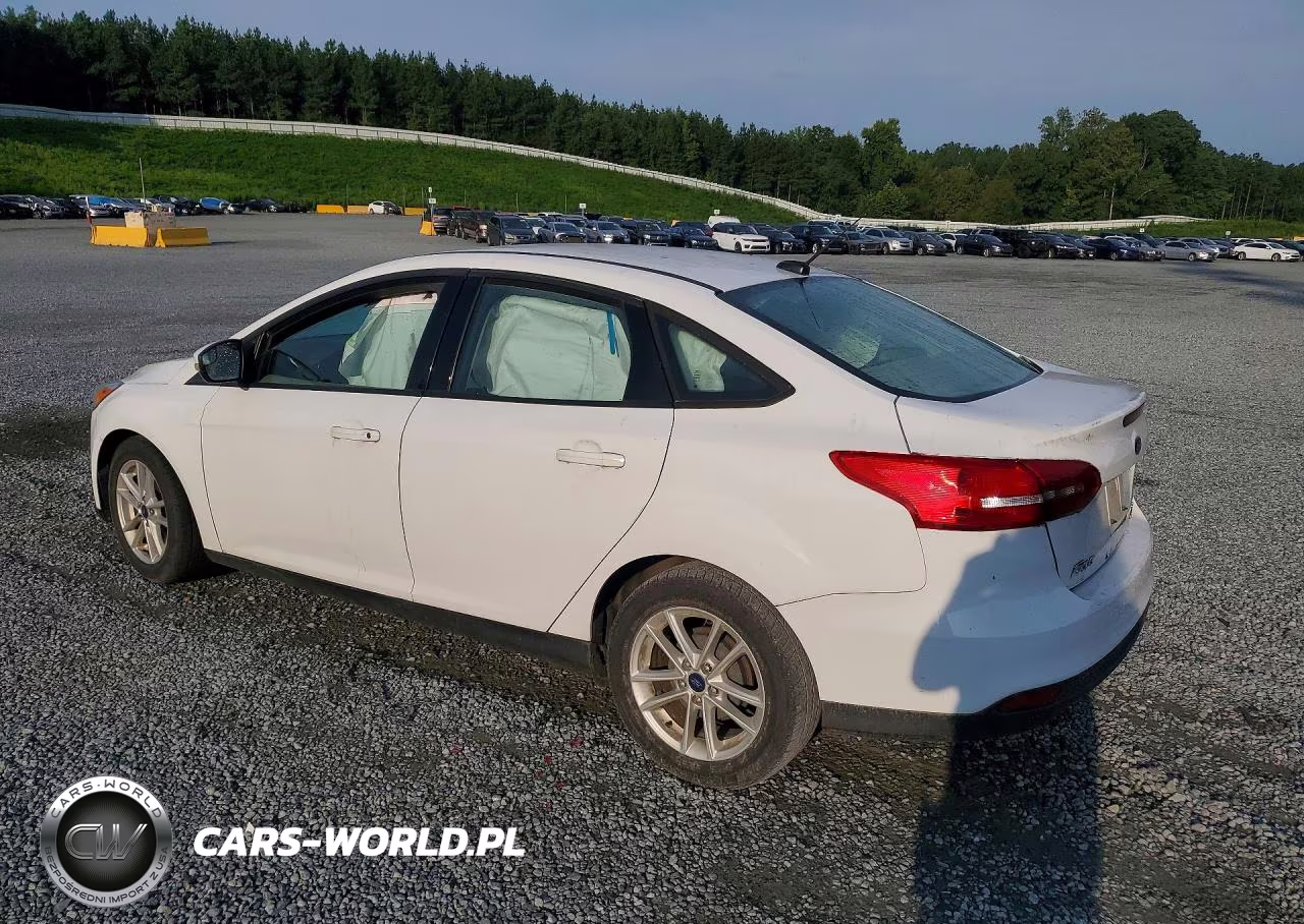 2016 Ford Focus Se VIN:1FADP3F21GL393268 - 2