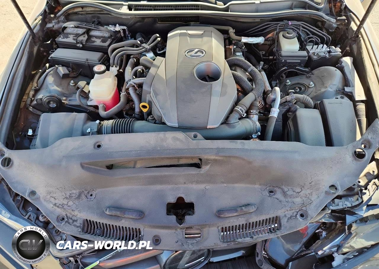 2019 Lexus Is 300 VIN:JTHBA1D22K5092966 - 11