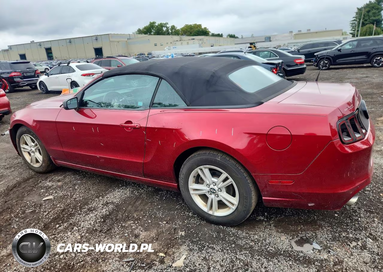 2014 Ford Mustang VIN:1ZVBP8EM8E5295693 - 2