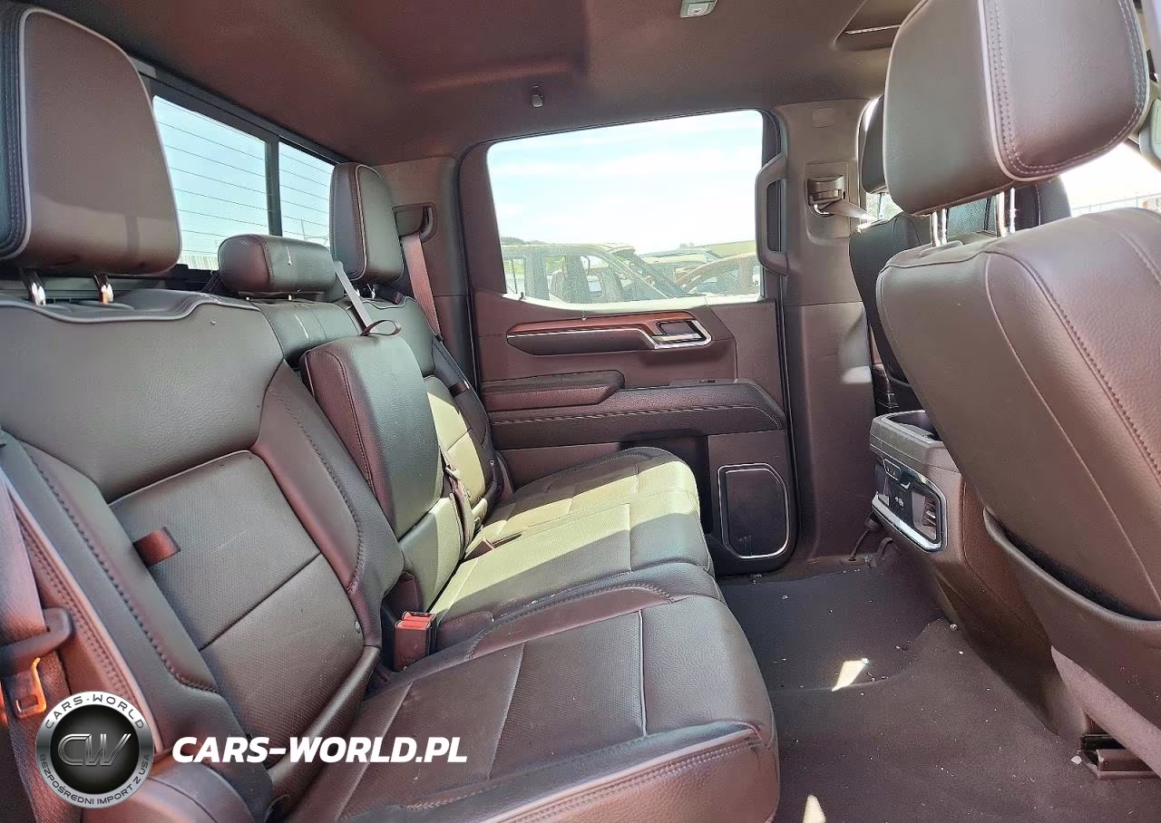 2023 GMC Sierra K1500 Denali VIN:3GTUUGELXPG176917 - 10