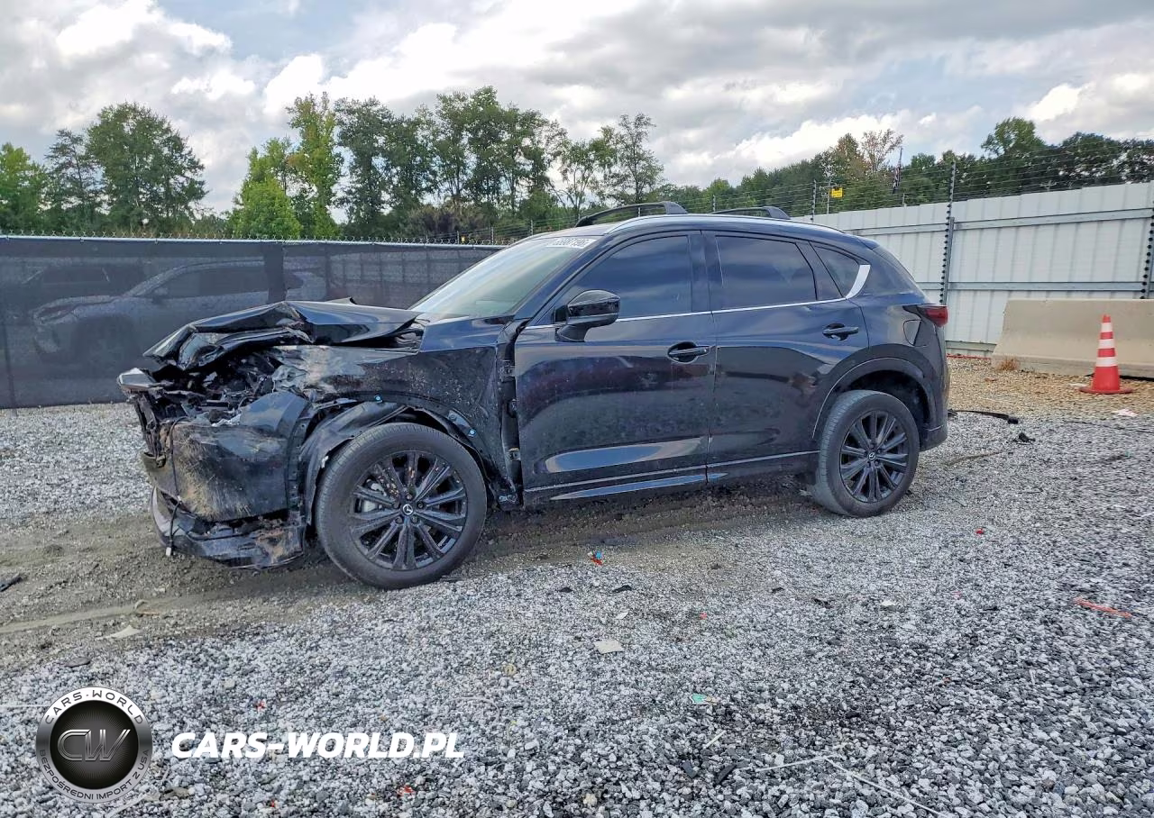 2025 Mazda Cx-5 Premium VIN:JM3KFBDY2S0565587 - 1