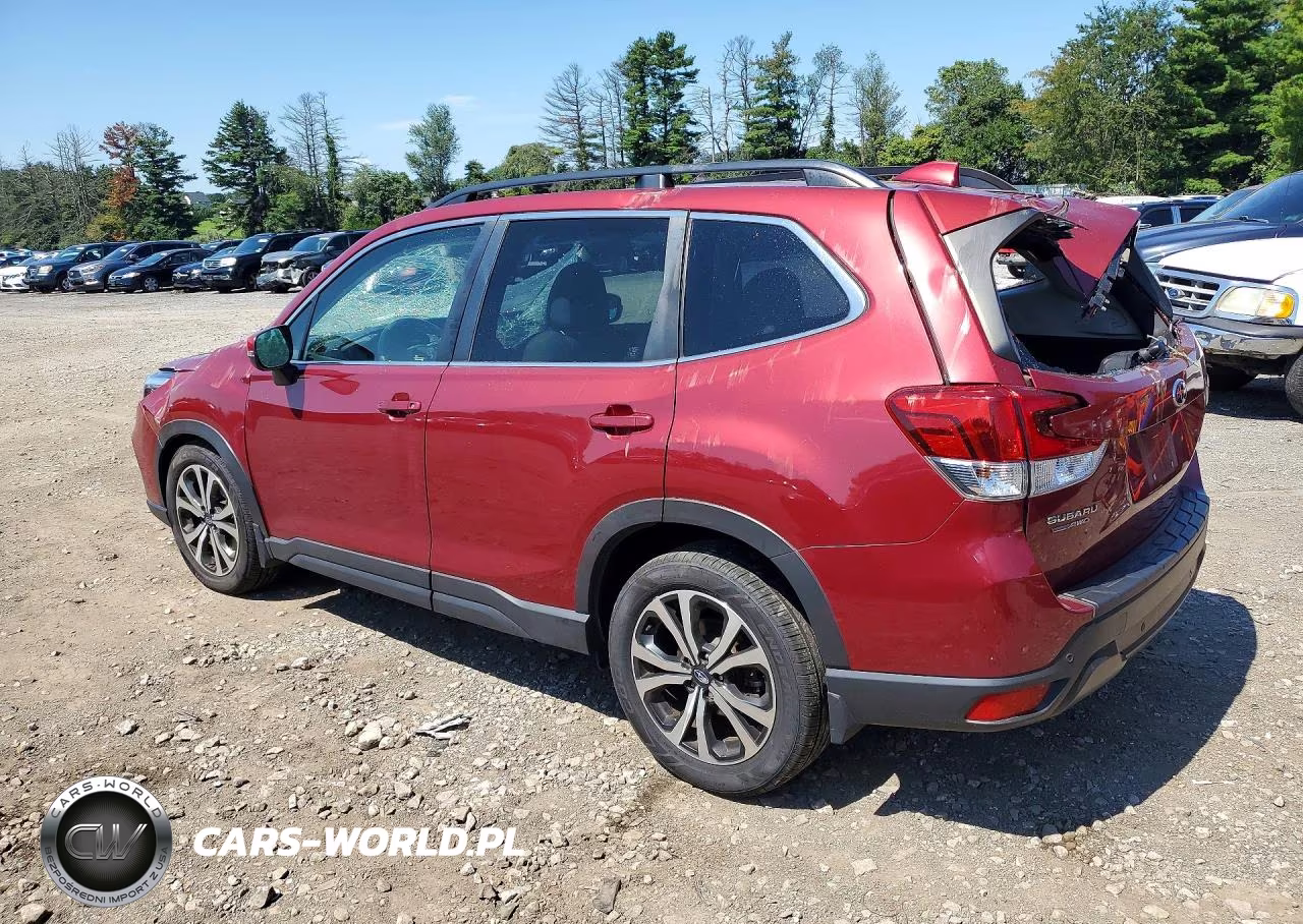 2019 Subaru Forester Limited VIN:JF2SKAUC1KH580717 - 2