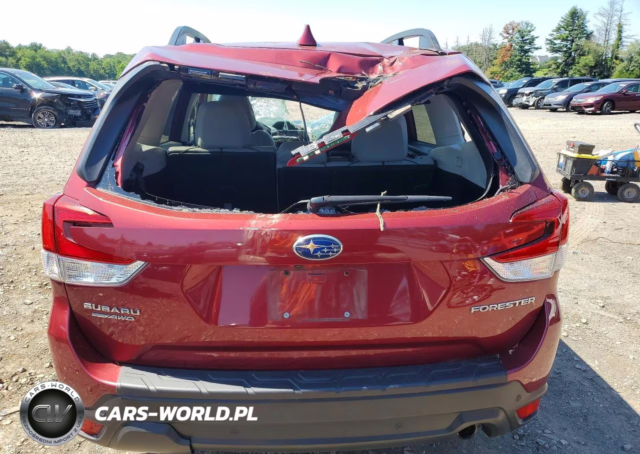 2019 Subaru Forester Limited VIN:JF2SKAUC1KH580717 - 6