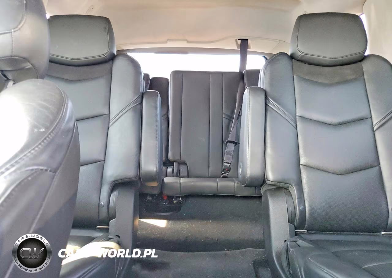 2015 Cadillac Escalade Premium VIN:1GYS4CKJ1FR240855 - 10