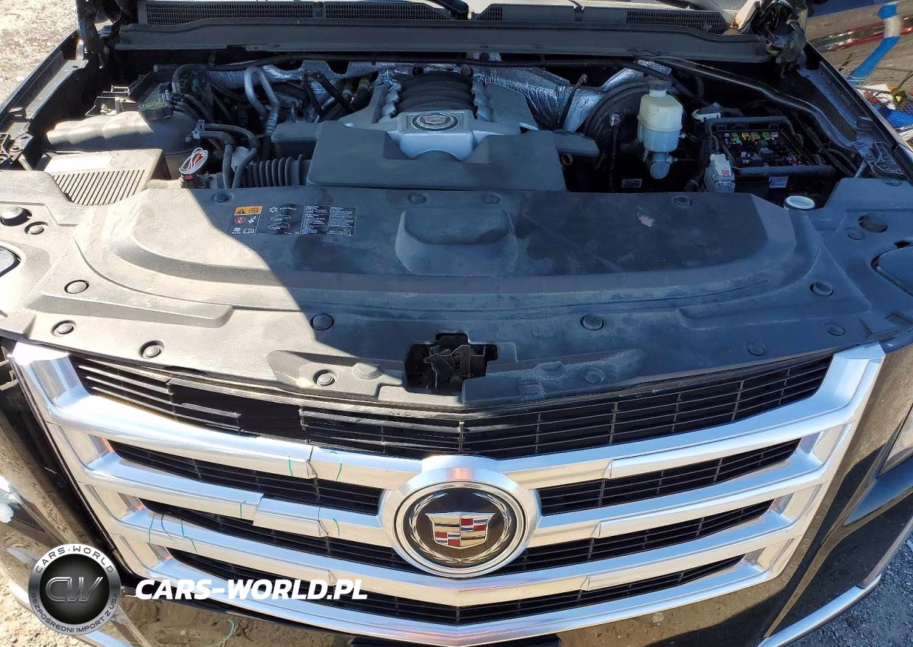 2015 Cadillac Escalade Premium VIN:1GYS4CKJ1FR240855 - 12