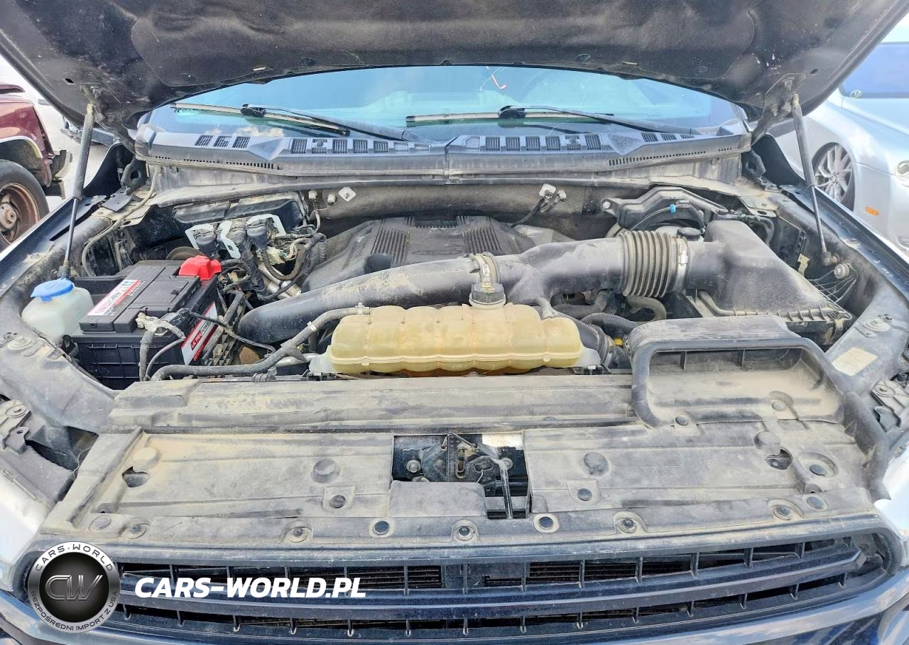 2020 Ford F150 Supercrew VIN:1FTEW1E4XLKD64408 - 11