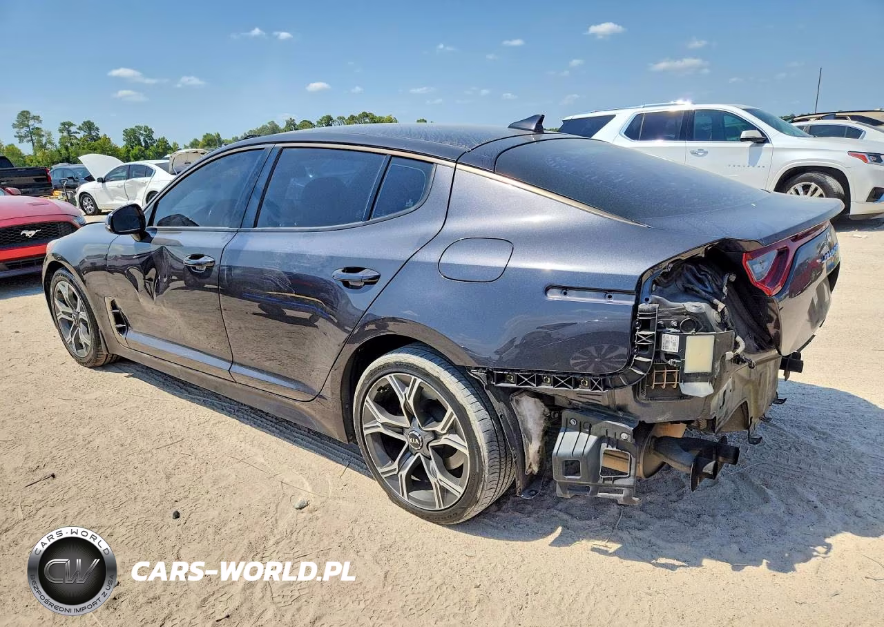 2020 Kia Stinger Gt-Line VIN:KNAE15LA1L6078001 - 2