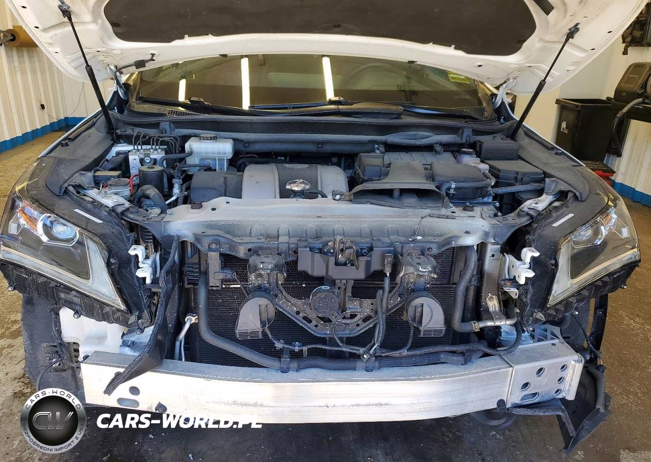 2019 Lexus Rx 450H F Sport VIN:2T2BGMCA5KC041924 - 12