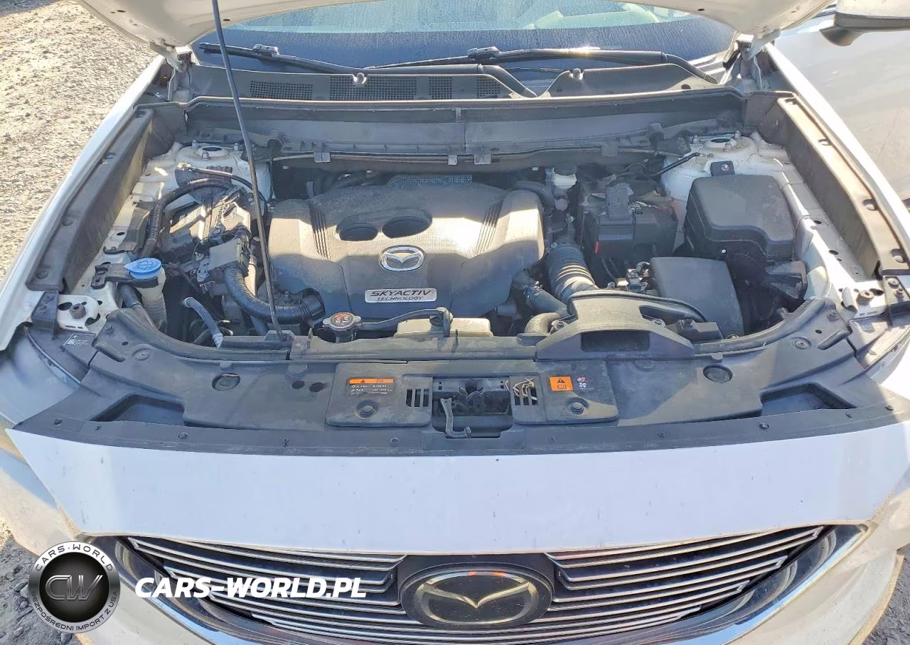 2017 Mazda Cx-9 Grand Touring VIN:JM3TCBDY2H0134303 - 12