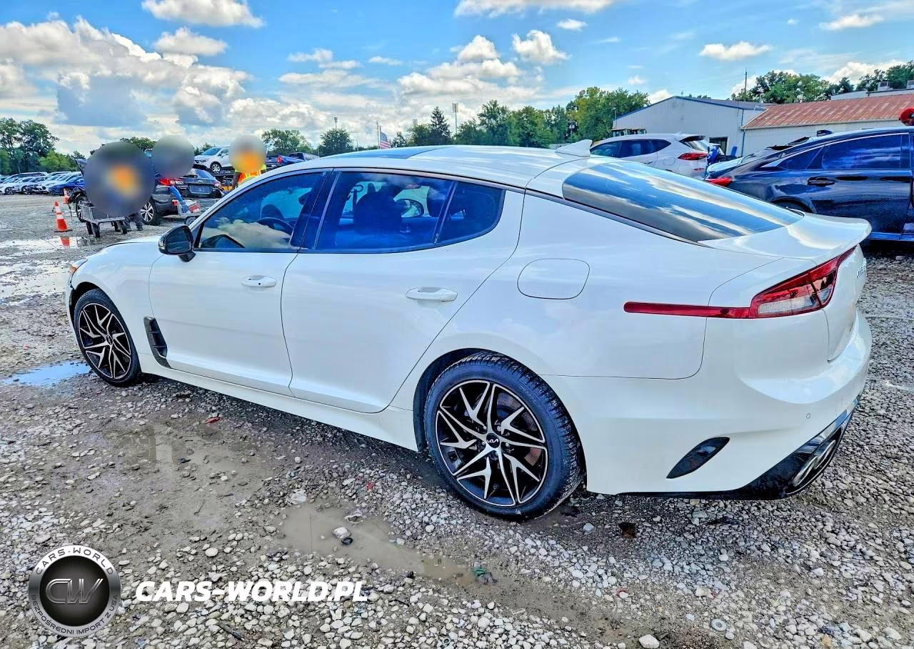 2022 Kia Stinger Gt Line VIN:KNAE35LD7N6110182 - 2