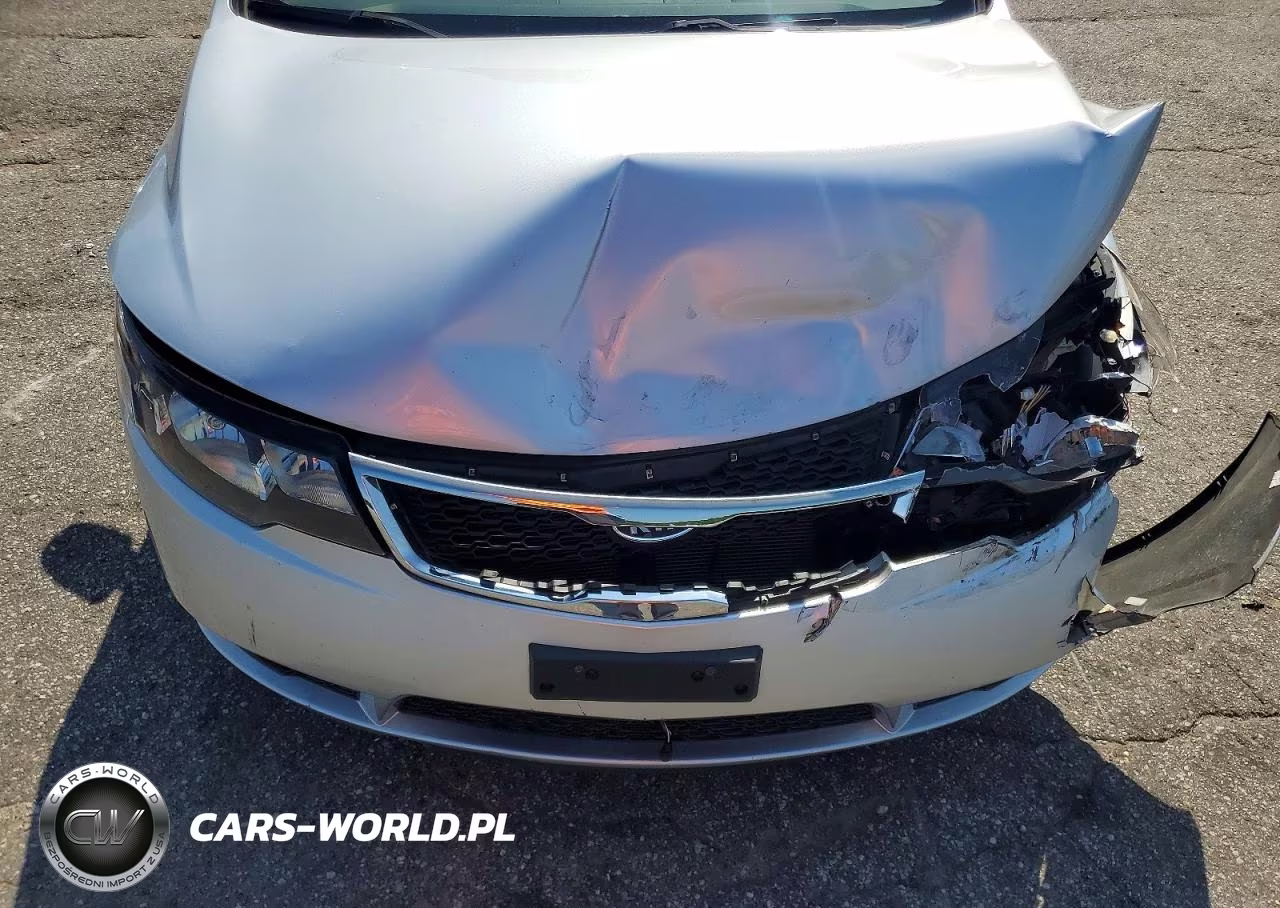 2013 Kia Forte Ex VIN:KNAFU4A27D5688462 - 11
