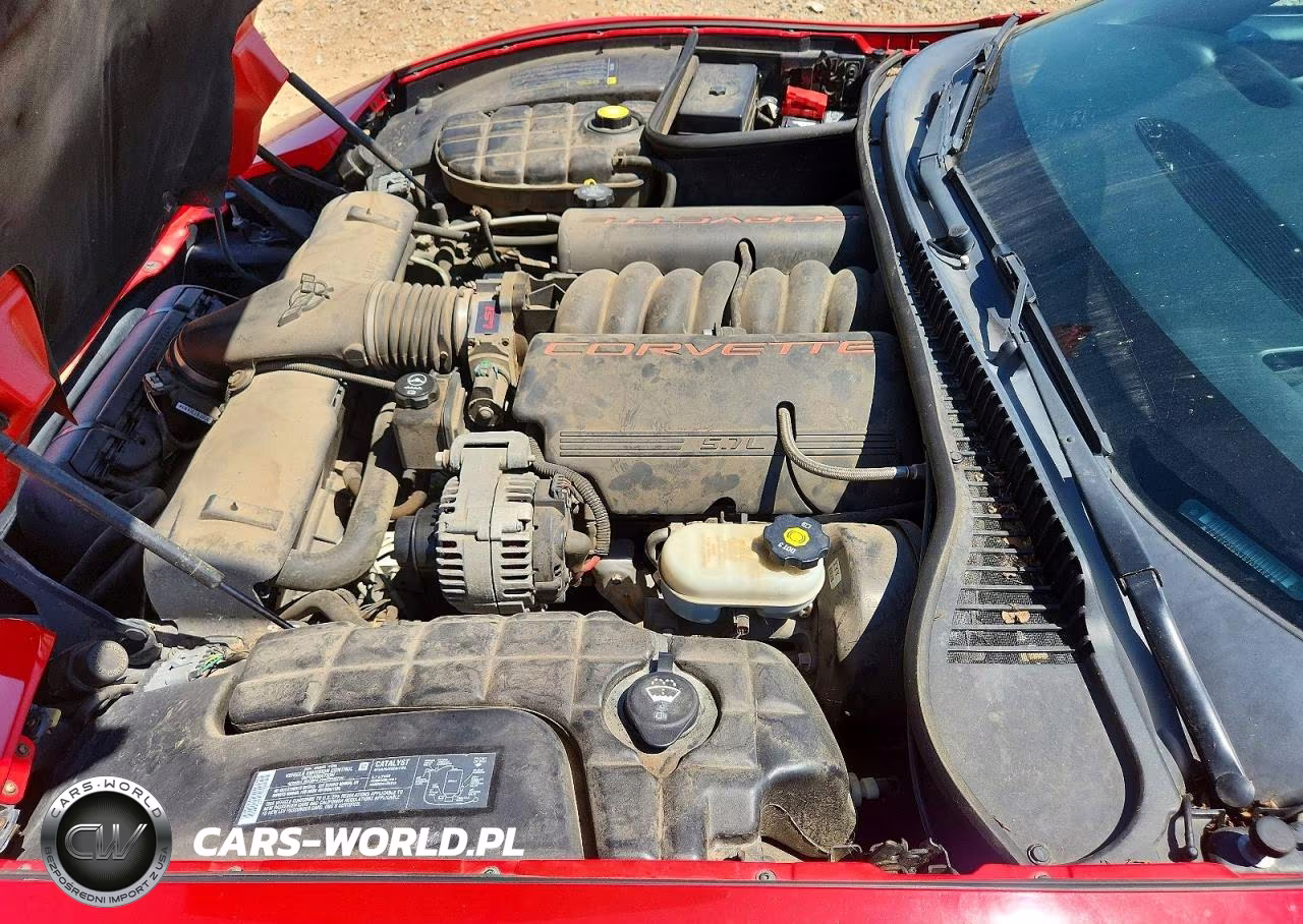 2004 Chevrolet Corvette VIN:1G1YY22G345104484 - 11
