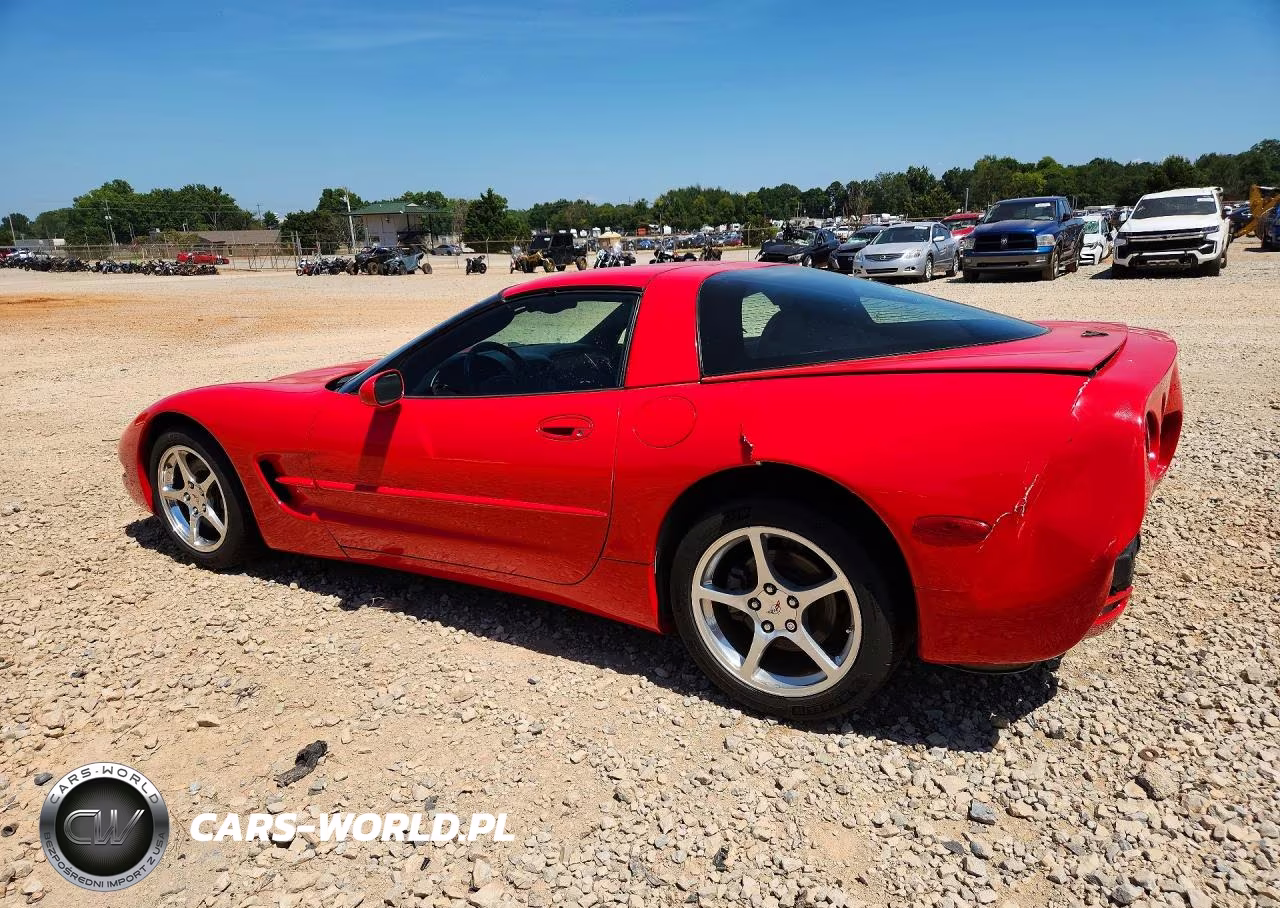 2004 Chevrolet Corvette VIN:1G1YY22G345104484 - 2