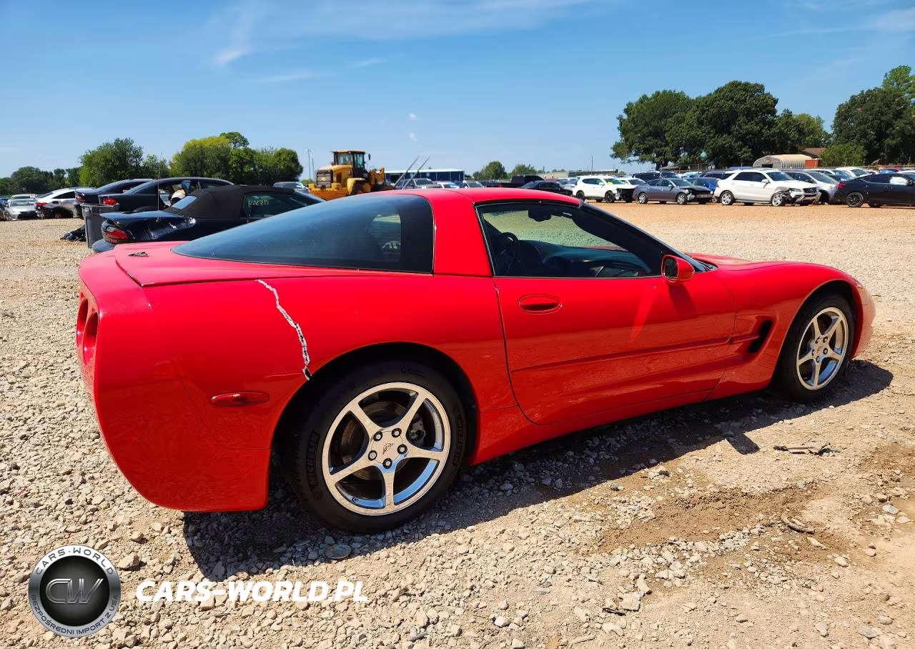 2004 Chevrolet Corvette VIN:1G1YY22G345104484 - 3