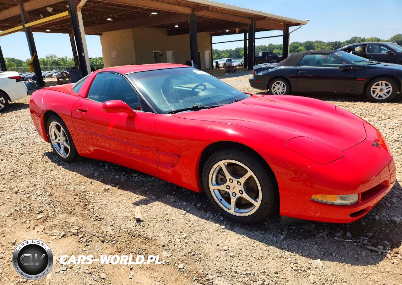 2004 Chevrolet Corvette VIN:1G1YY22G345104484 - 4
