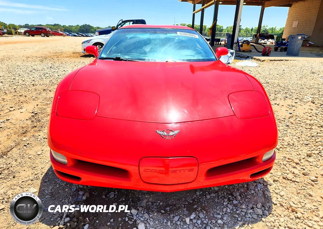 2004 Chevrolet Corvette VIN:1G1YY22G345104484 - 5