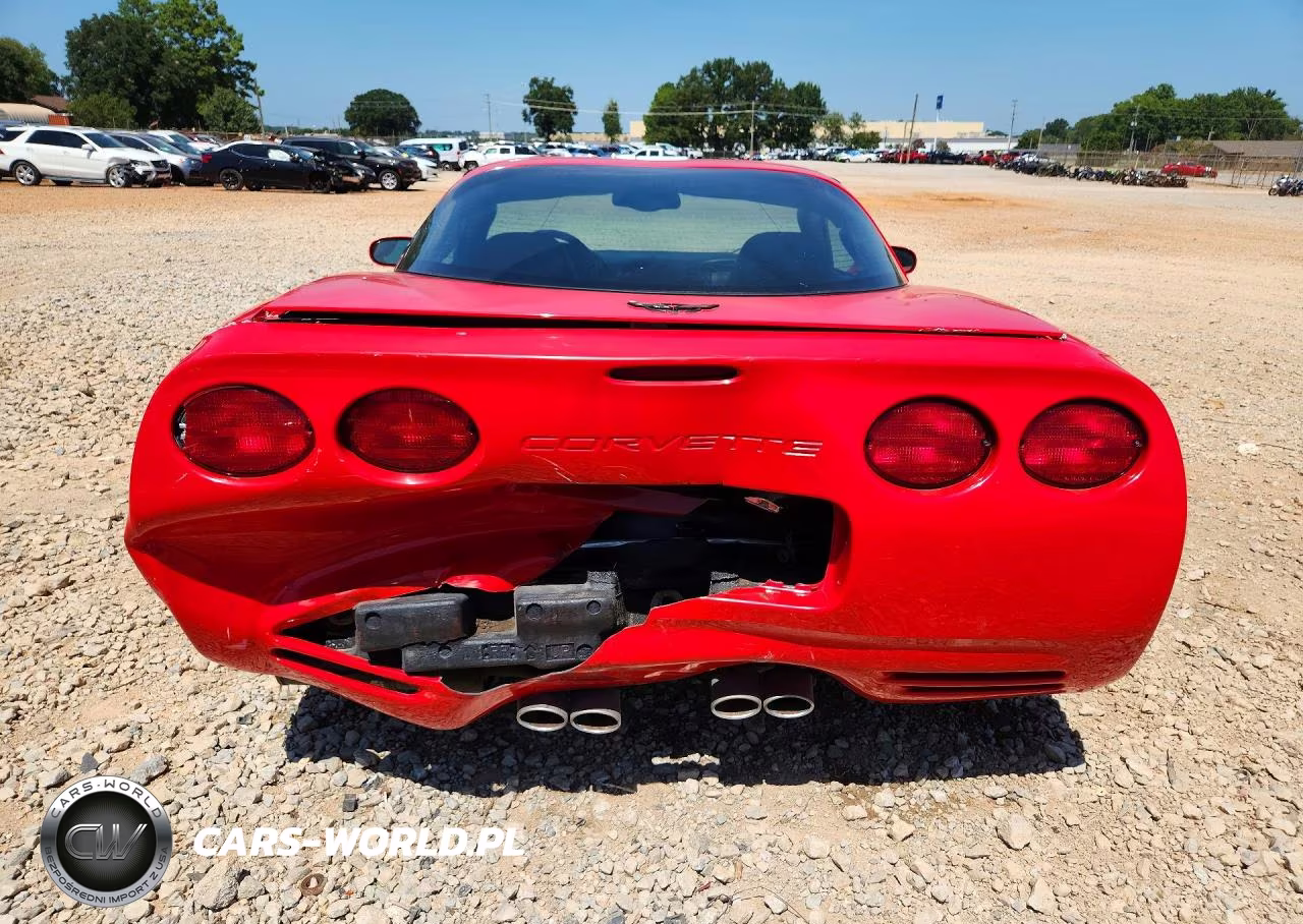2004 Chevrolet Corvette VIN:1G1YY22G345104484 - 6