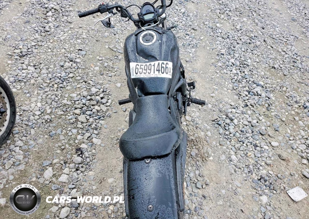 2023 Kawasaki En650 C VIN:JKAENEC14PDA06697 - 6
