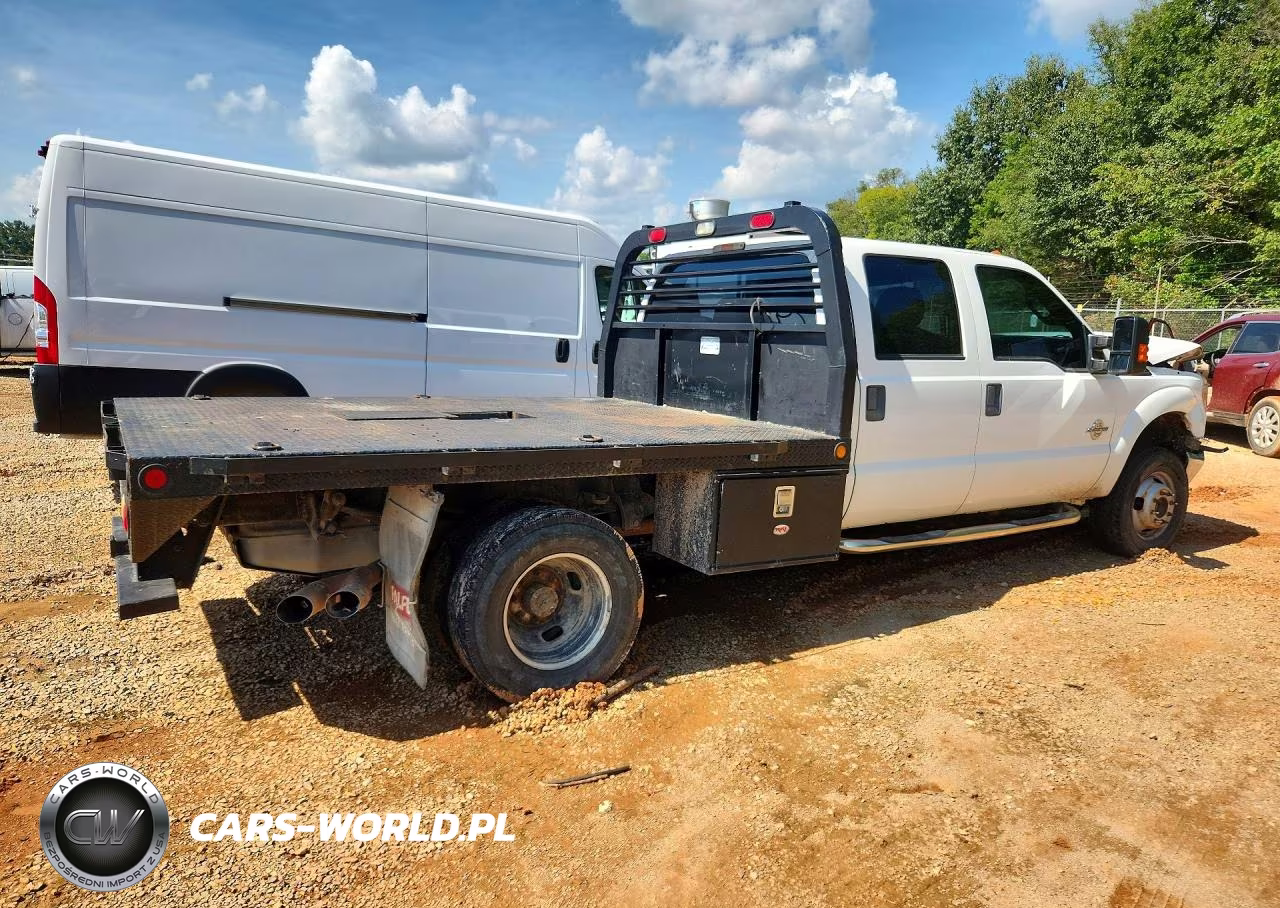 2013 Ford F350 Super Duty VIN:1FD8W3HT9DEB05450 - 3
