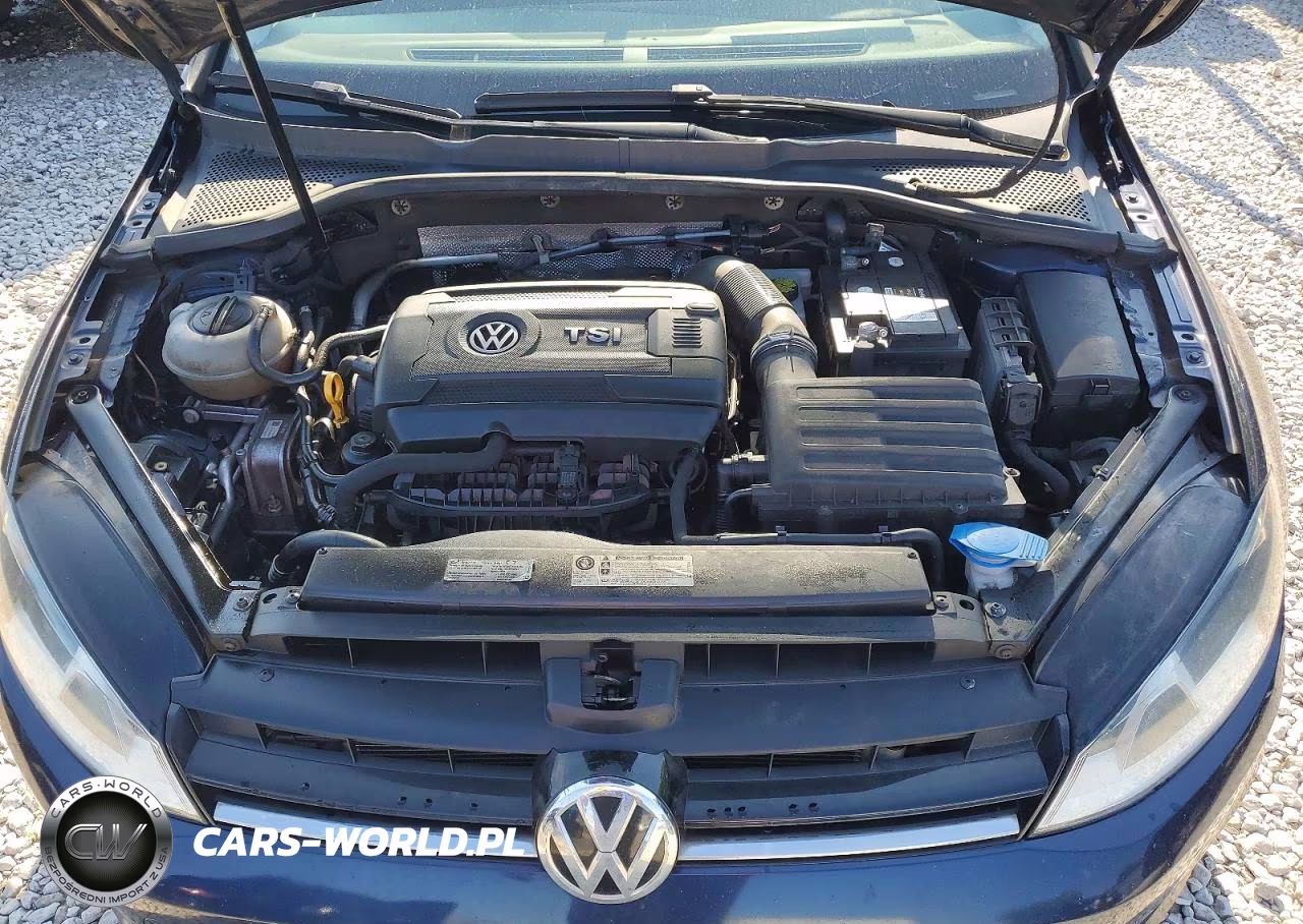 2016 Volkswagen Golf S-Se VIN:3VW217AU5GM048498 - 11