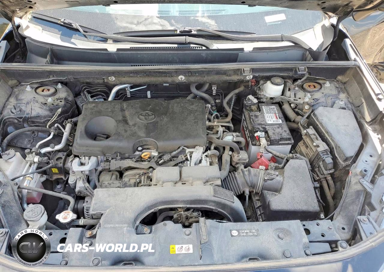 2019 Toyota Rav4 Le VIN:2T3F1RFV9KW070223 - 12