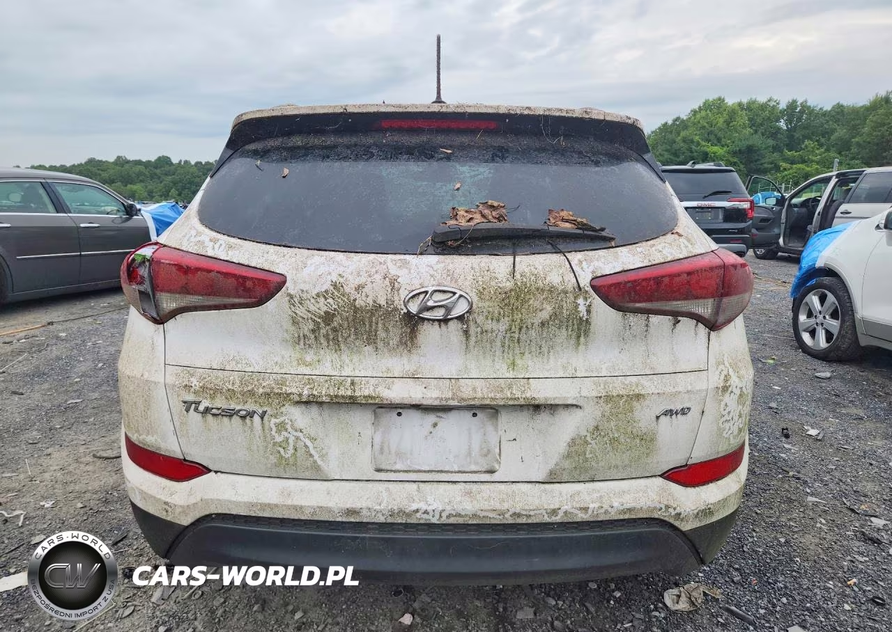 2016 Hyundai Tucson Se VIN:KM8J3CA41GU166914 - 6