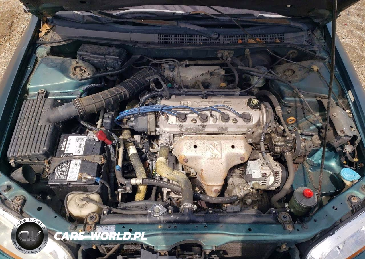 2002 Honda Accord Lx VIN:1HGCG56442A141247 - 11