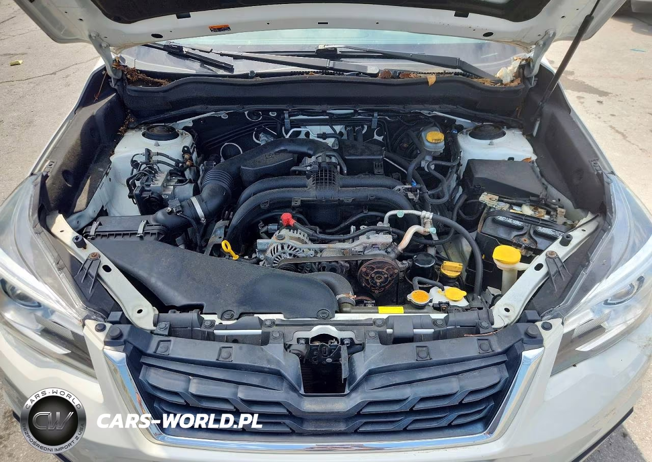 2018 Subaru Forester 2.5I Touring VIN:JF2SJAWC3JH469892 - 12