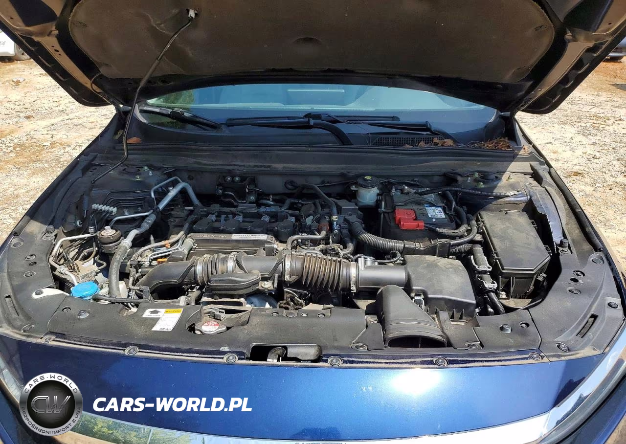 2019 Honda Accord Lx VIN:1HGCV1F15KA141584 - 11