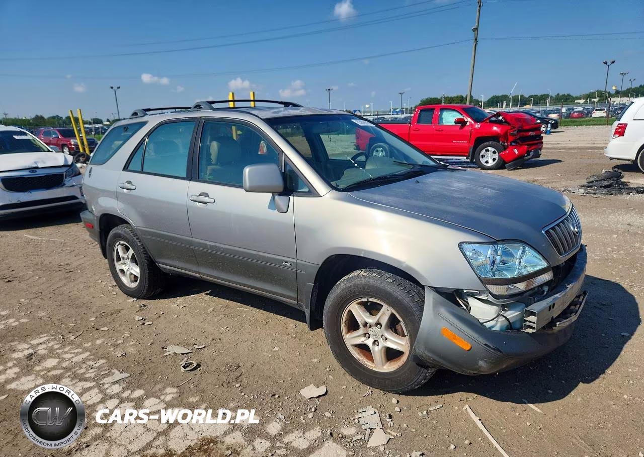 2002 Lexus Rx 300 VIN:JTJHF10U820281569 - 4