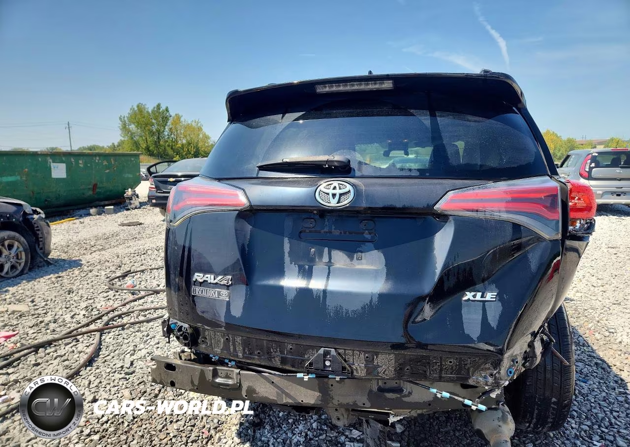 2018 Toyota Rav4 Xle VIN:2T3WFREV9JW467089 - 6