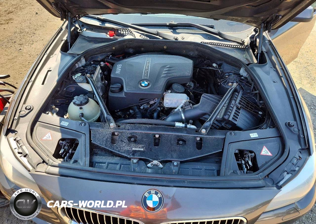 2013 BMW 528 Xi VIN:WBAXH5C52DDW13194 - 11