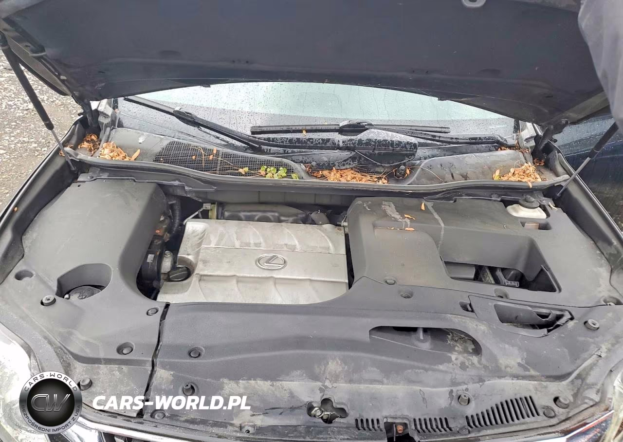 2011 Lexus Rx 350 VIN:2T2BK1BA1BC107481 - 12