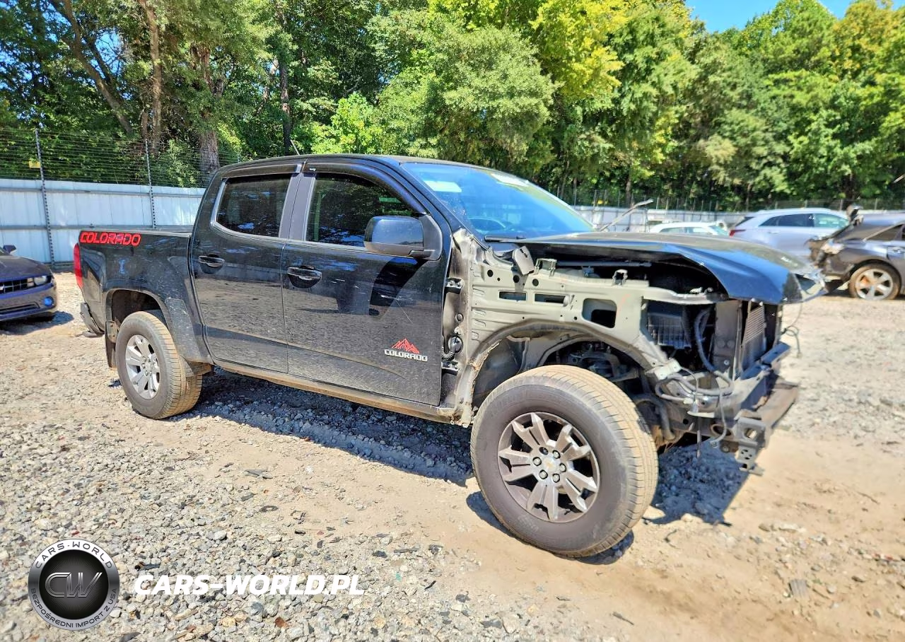 2017 Chevrolet Colorado Lt VIN:1GCGSCEN9H1209435 - 4